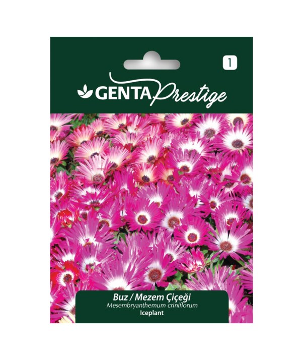 Genta - Buz Mezem – Iceplant Yer Örtücü Çiçek Tohumu