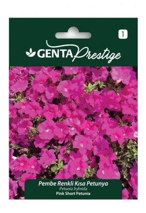 Genta - Pembe Renkli Kısa Petunya Çiçeği Tohumu 0,4gr