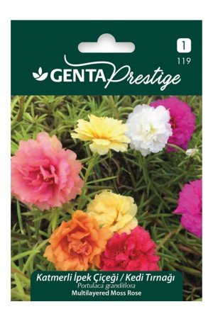 Genta - Katmerli İpek Çiçeği - Kedi Tırnağı Tohumu 1gr Genta - Katmerli İpek Çiçeği - Kedi Tırnağı Tohumu 1gr