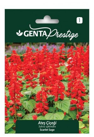 Genta - Ateş Çiçeği Tohumu 0,5gr