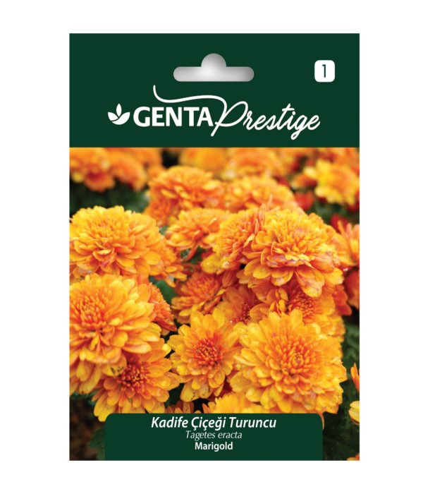 Genta - Turuncu Kadife Çiçeği Tohumu Genta - Turuncu Kadife Çiçeği Tohumu