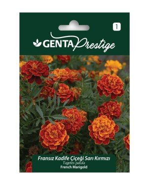 Genta - Sarı Kırmızı Kadife Çiçeği Tohumu 1gr