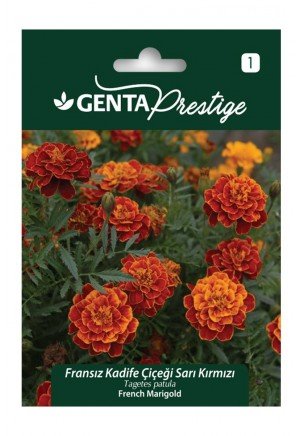 Genta - Sarı Kırmızı Kadife Çiçeği Tohumu 1gr