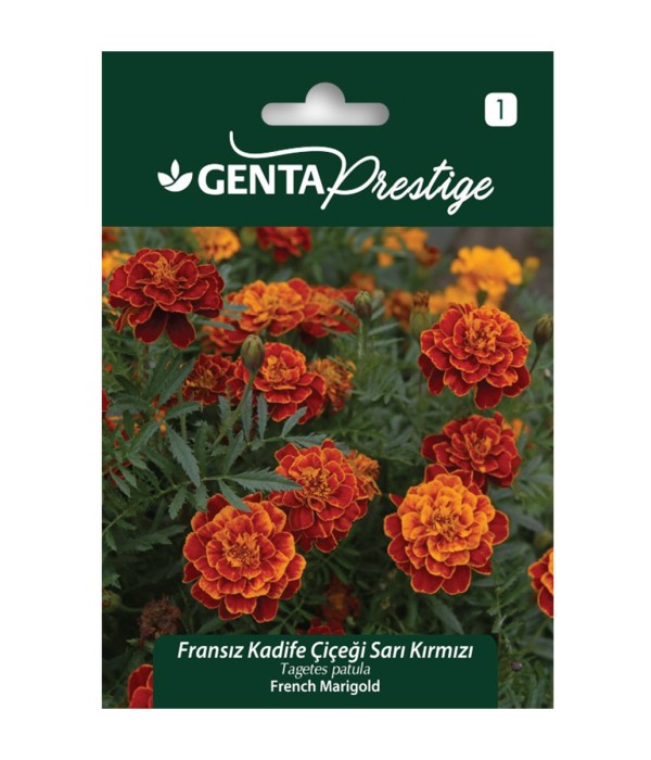 Genta - Sarı Kırmızı Kadife Çiçeği Tohumu Genta - Sarı Kırmızı Kadife Çiçeği Tohumu