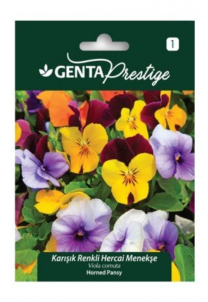 Genta - Karışık Renkli Menekşe Tohumu 0,5gr Genta - Karışık Renkli Menekşe Tohumu 0,5gr