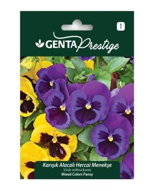 Genta - Karışık Renkli Alacalı Menekşe Tohumu 0,4gr Genta - Karışık Renkli Alacalı Menekşe Tohumu 0,4gr