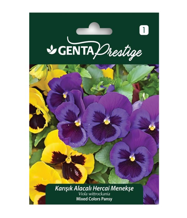Genta - Karışık Renkli Alacalı Hercai Menekşe Tohumu Genta - Karışık Renkli Alacalı Hercai Menekşe Tohumu