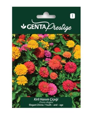 Genta - Kirli Hanım Çiçeği Tohumu 2gr