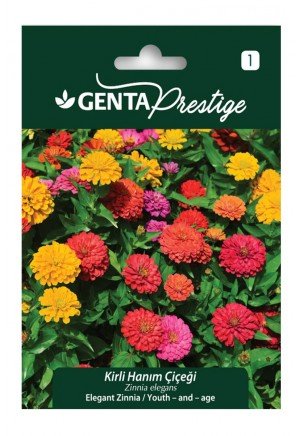 Genta - Kirli Hanım Çiçeği Tohumu 2gr Genta - Kirli Hanım Çiçeği Tohumu 2gr