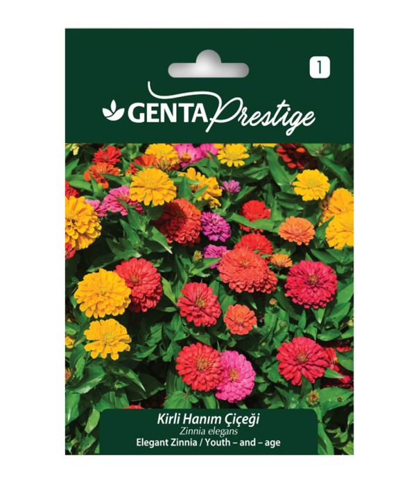 Genta - Kirli Hanım Çiçeği Tohumu Genta - Kirli Hanım Çiçeği Tohumu
