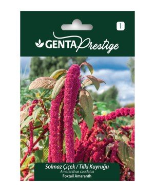 Genta - Solmaz Tilki Kuyruğu Çiçeği Tohumu 2gr