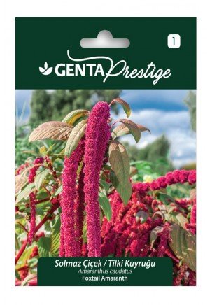 Genta - Solmaz Tilki Kuyruğu Çiçeği Tohumu 2gr Genta - Solmaz Tilki Kuyruğu Çiçeği Tohumu 2gr