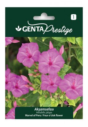 Genta - Akşam Sefası Çiçek Tohumu 4gr