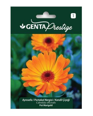 Genta - Aynısefa Portakal Nergisi - Kandil Çiçeği Tohumu 2,5gr