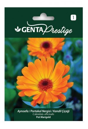 Genta - Aynısefa Portakal Nergisi - Kandil Çiçeği Tohumu 2,5gr