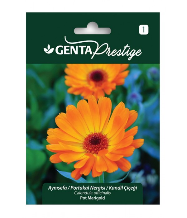 Genta - Aynısefa Portakal Nergisi - Kandil Çiçeği Tohumu