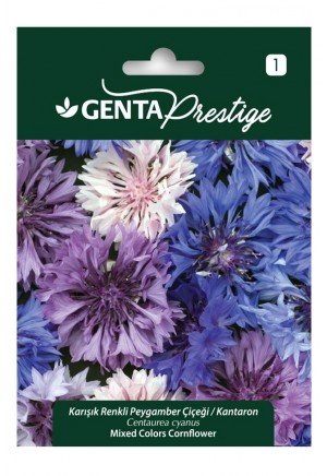 Genta - Karışık Renkli Peygamber Çiçeği - Kantaron Tohumu 2gr Genta - Karışık Renkli Peygamber Çiçeği - Kantaron Tohumu 2gr