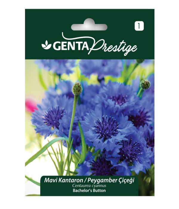 Genta - Mavi Kantaron - Peygamber Çiçeği Tohumu Genta - Mavi Kantaron - Peygamber Çiçeği Tohumu