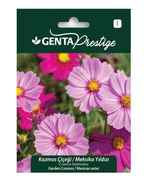 Genta - Kozmos - Meksika Yıldızı Çiçeği Tohumu 2gr