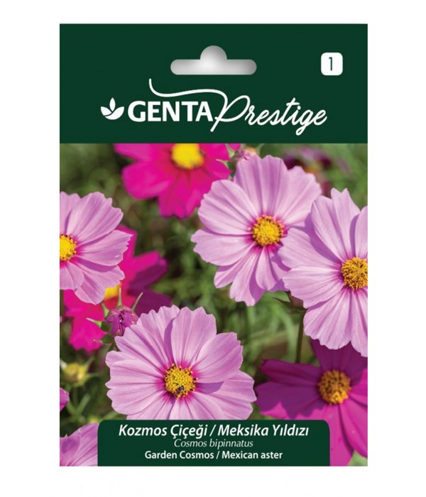 Genta - Kozmos - Meksika Yıldızı Çiçeği Tohumu Genta - Kozmos - Meksika Yıldızı Çiçeği Tohumu