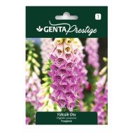 Genta - Yüksük Otu Tohumu 0,5gr Genta - Yüksük Otu Tohumu 0,5gr