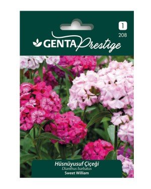 Genta - Hüsnüyusuf Bahçe Çiçeği Tohumu 1,5gr