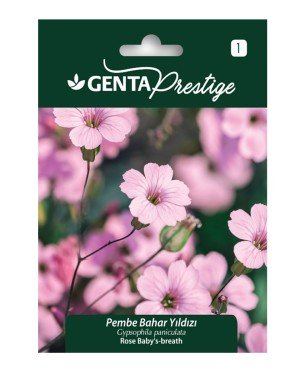 Genta - Pembe Bahar Yıldızı Çiçeği Tohumu 2gr