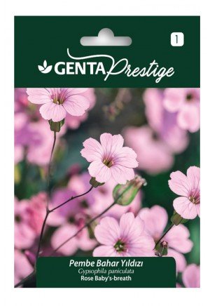 Genta - Pembe Bahar Yıldızı Çiçeği Tohumu 2gr