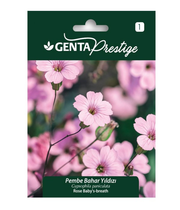 Genta - Pembe Bahar Yıldızı Çiçeği Tohumu Genta - Pembe Bahar Yıldızı Çiçeği Tohumu