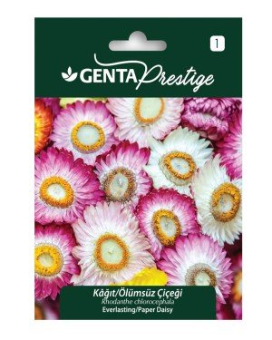 Genta - Karışık Renkli Kağıt - Ölümsüz Çiçeği Tohumu 1gr Genta - Karışık Renkli Kağıt - Ölümsüz Çiçeği Tohumu 1gr