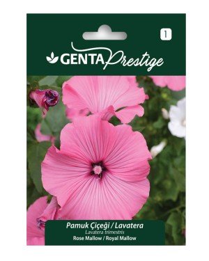 Genta - Pamuk Çiçeği Lavatera Tohumu 1gr
