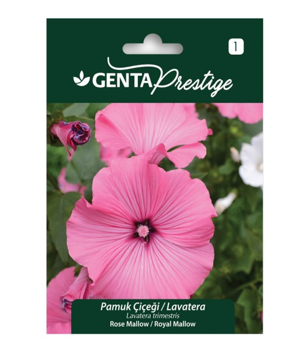 Genta - Pamuk Çiçeği Lavatera Tohumu Genta - Pamuk Çiçeği Lavatera Tohumu