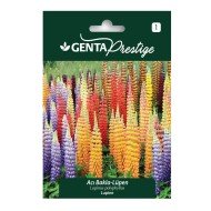 Genta - Renkli Lüpen Çiçek Tohumu – Acı Bakla (Lupinus) 2gr Genta - Renkli Lüpen Çiçek Tohumu – Acı Bakla (Lupinus) 2gr