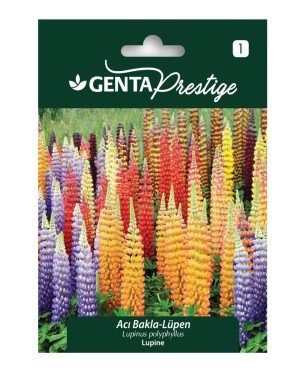 Genta -  Renkli Lüpen Çiçek Tohumu – Acı Bakla (Lupinus) 2gr