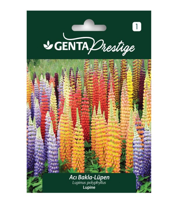 Genta - Renkli Lüpen Çiçek Tohumu – Acı Bakla (Lupinus) Genta - Renkli Lüpen Çiçek Tohumu – Acı Bakla (Lupinus)