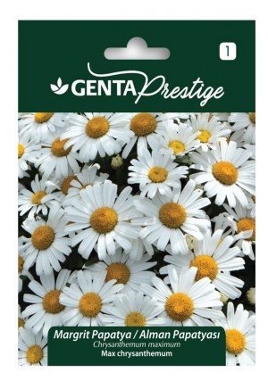 Genta - Margrit Papatya - Alman Papatyası  Tohumu 1gr