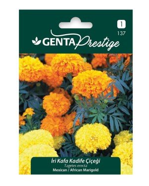 Genta - İri Kafa Kadife Çiçeği Tohumu 0,8gr Genta - İri Kafa Kadife Çiçeği Tohumu 0,8gr