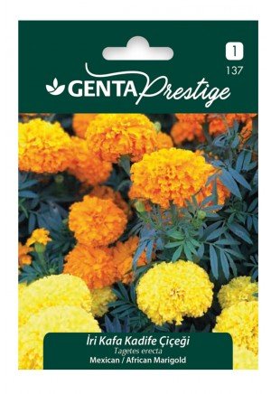 Genta - İri Kafa Kadife Çiçeği Tohumu 0,8gr