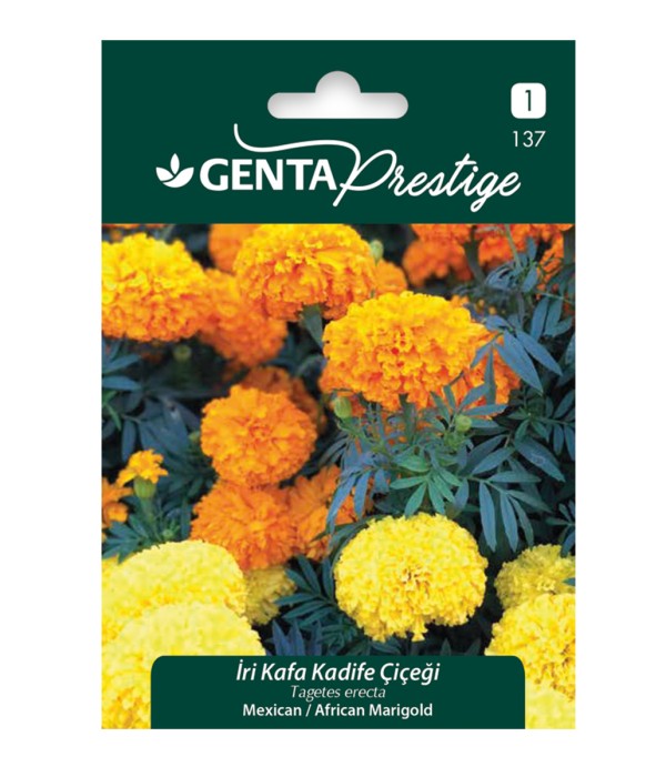 Genta - İri Kafa Kadife Çiçeği Tohumu Genta - İri Kafa Kadife Çiçeği Tohumu