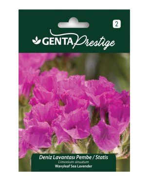 Genta - Pembe Deniz Lavantası Çiçek Tohumu 1gr
