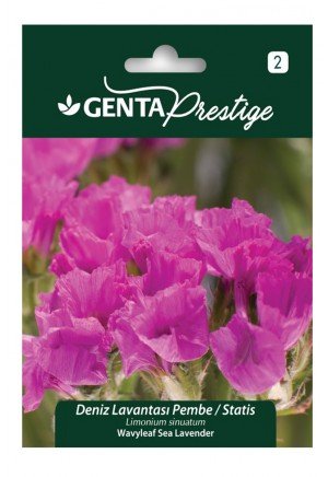 Genta - Pembe Deniz Lavantası Çiçek Tohumu 1gr