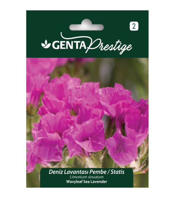 Genta - Pembe Deniz Lavantası Çiçek Tohumu Genta - Pembe Deniz Lavantası Çiçek Tohumu