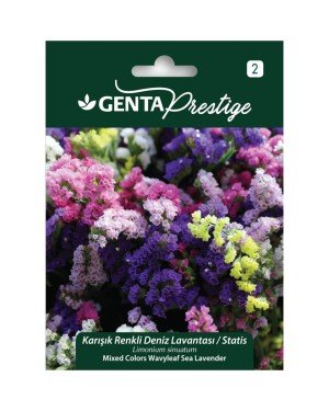 Genta - Karışık Renkli Deniz Lavantası Tohumu 0,5 gr Genta - Karışık Renkli Deniz Lavantası Tohumu 0,5 gr