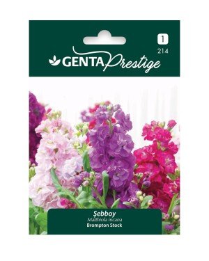 Genta - Şebboy Çiçeği Tohumu 0,5gr