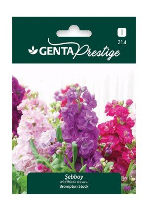 Genta - Şebboy Çiçeği Tohumu 0,5gr