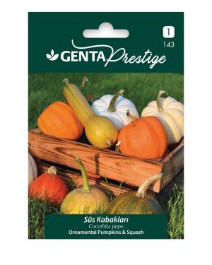 Genta - Süs Kabağı Bitkisi Tohumu 4gr