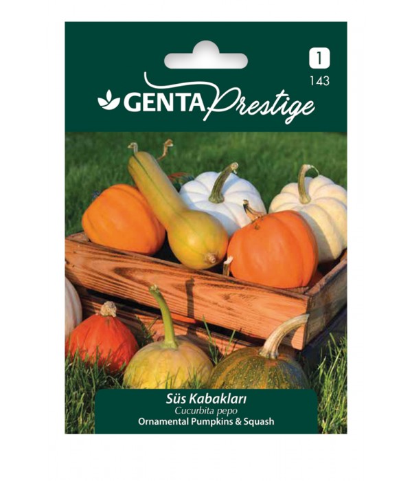 Genta - Süs Kabağı Bitkisi Tohumu Genta - Süs Kabağı Bitkisi Tohumu