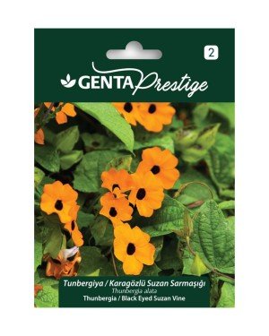 Genta - Karagözlü Suzan Sarmaşığı Bitkisi Tohumu