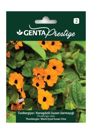Genta - Karagözlü Suzan Sarmaşığı Bitkisi Tohumu