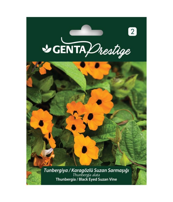 Genta - Karagözlü Suzan Sarmaşığı Bitkisi Tohumu Genta - Karagözlü Suzan Sarmaşığı Bitkisi Tohumu